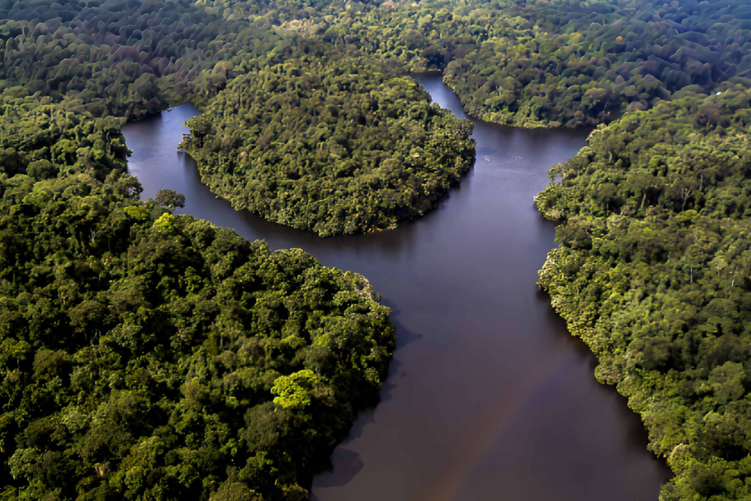 Réserve du Dja - Miniature 2