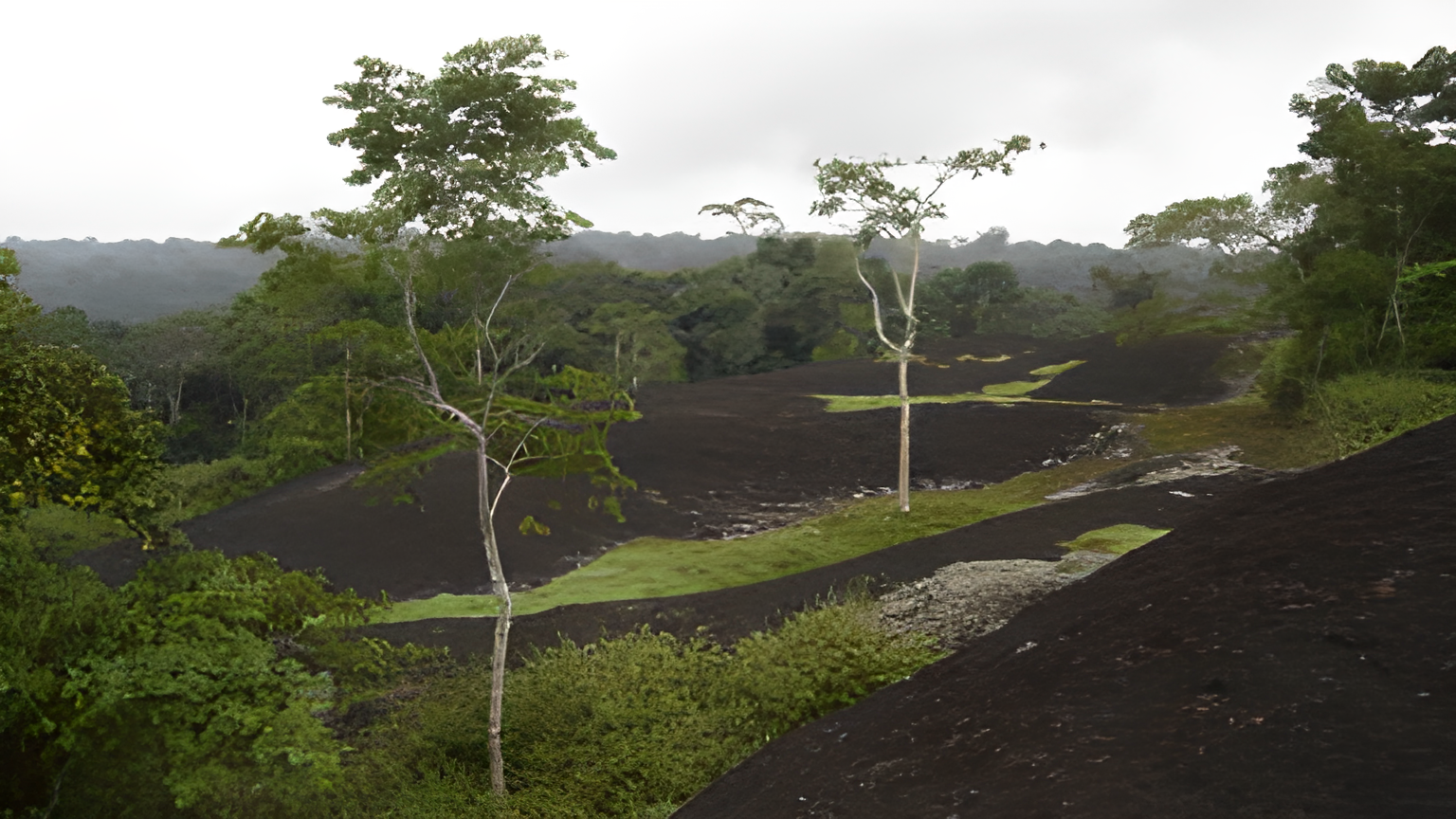 Réserve du Dja - Miniature 3